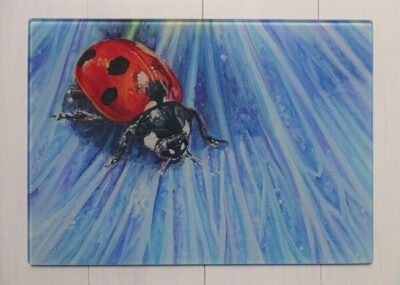 blue ladybird work top saver