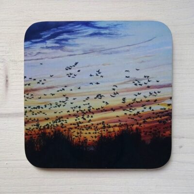 coming home murmuration coasters