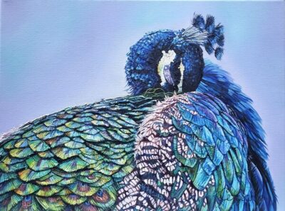 Sleep Tight peacock mixed media painting wildlife art shop Claire Cerysanne Groves
