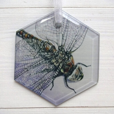 dragonfly glass suncatcher by Claire Cerysanne Groves