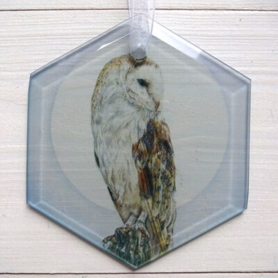 barn owl suncatcher. Glass hexagon printed with original art by Claire Cerysanne Croves