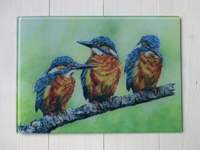 river realm kingfisher work top saver by Claire Cerysanne Groves imperfect