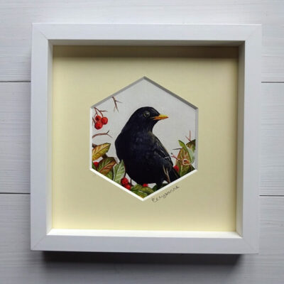 blackbird oil study