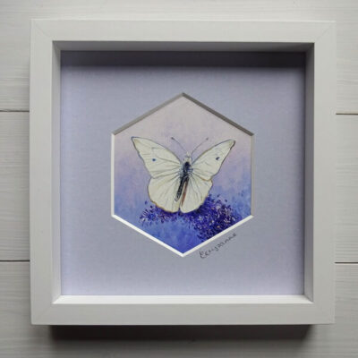 butterfly oil study
