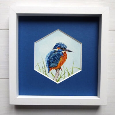 kingfisher oil study shop paintings