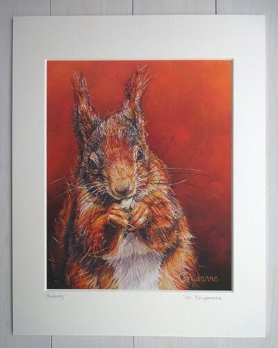 Nutmeg limited edition prints shop