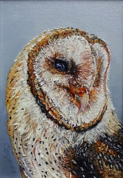 Barn owl oil study wildlife art