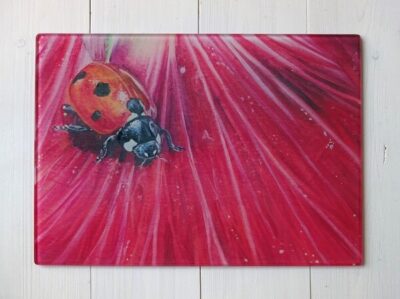 ladybird work top saver