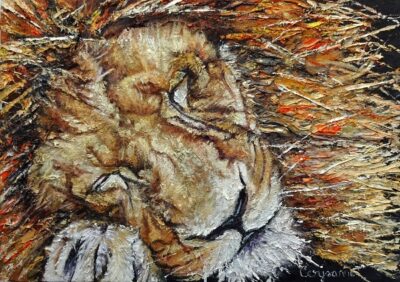 lion oil study wildlife art mixed media