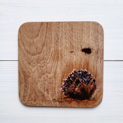 hedgehog coaster