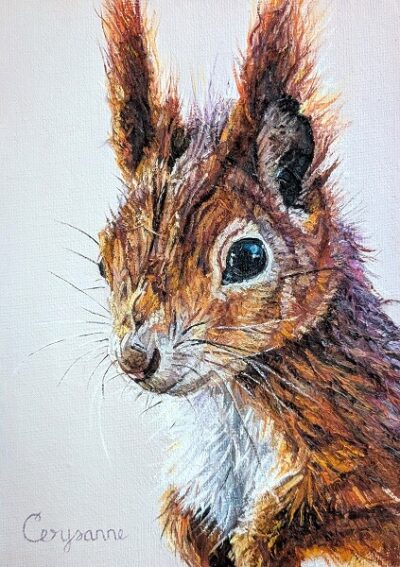 red squirrel mixed media wildlife art shop