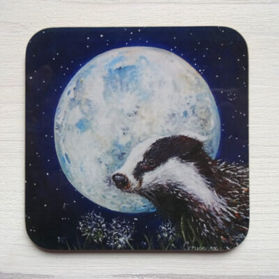wish imperfect coaster