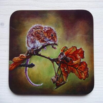 equinox imperfect coaster
