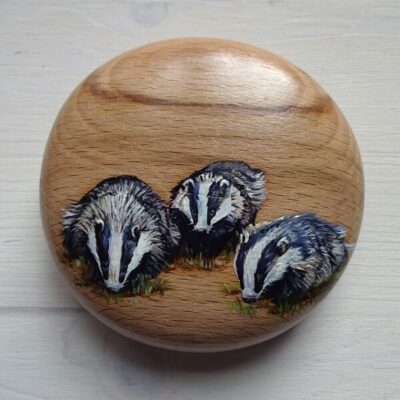 badger pebble