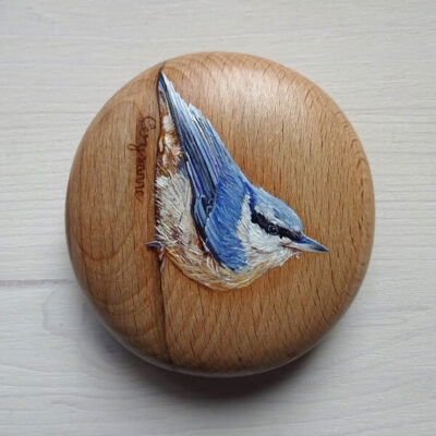 nuthatch pebble