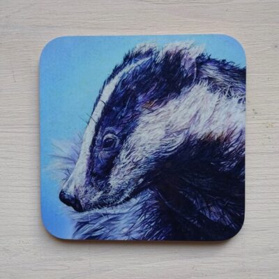 bluebell coasters