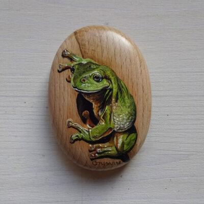 frog art miniature pebble