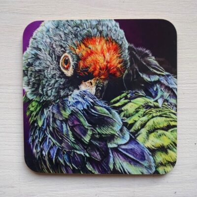 ritzy coasters