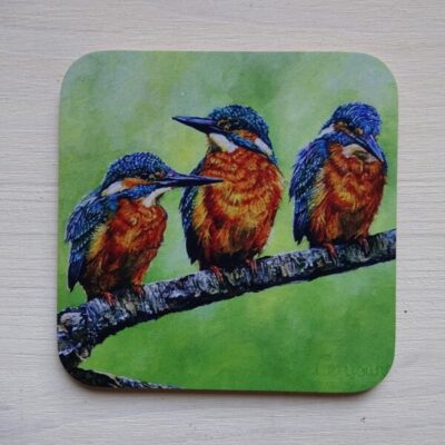 river realm coasters