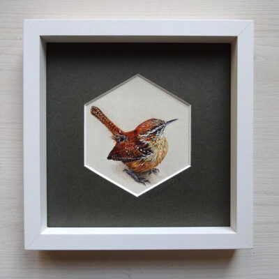 wren hexagon oil study