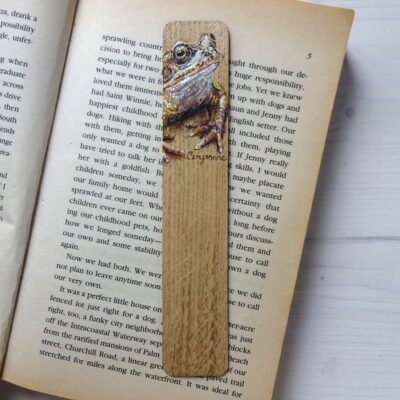 frog miniature art bookmark