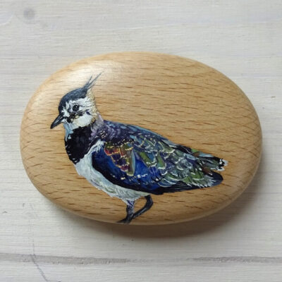 lapwing art pebble