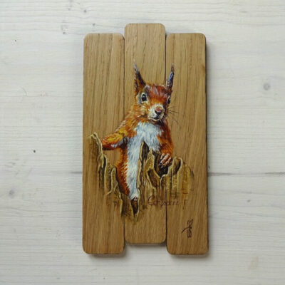 quizzy red squirrel oak panel