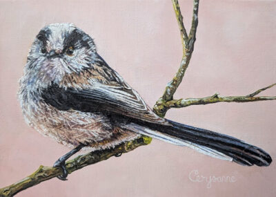 peach long tailed tit mixed media painting