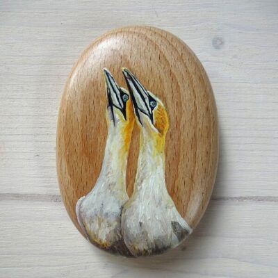 gannet sea bird art pebble