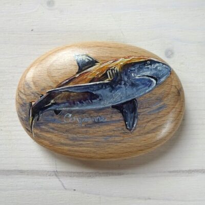 shark art pebble