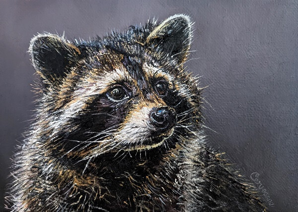 Vinnie a - small vinnie raccoon mixed media painting